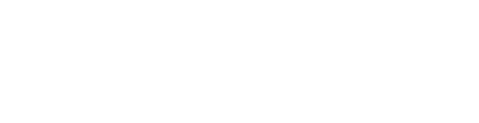 SoloBoss Link - logotip - bijeli